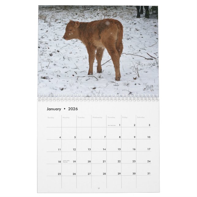 2013 kalvar kalender (Jan 2026)