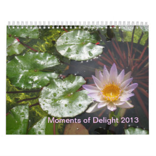 2013 ögonblick av fröjdkalendern kalender