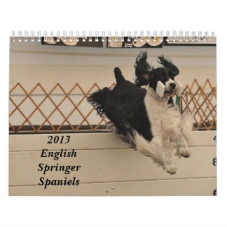 2013 Spaniels för engelsk Springer Kalender