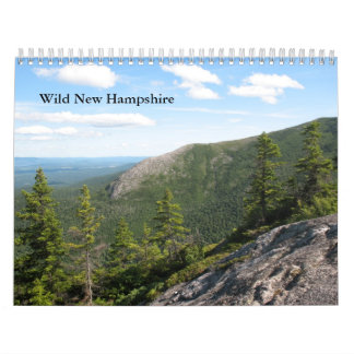 2013 standarda kalender för vildNew Hampshire vägg