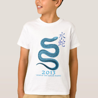 2013 TEE SHIRT