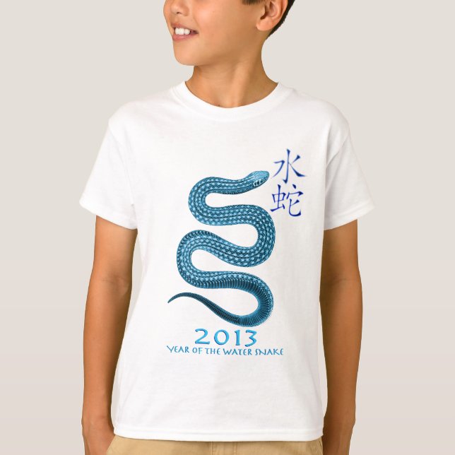 2013 TEE SHIRT (Framsida)