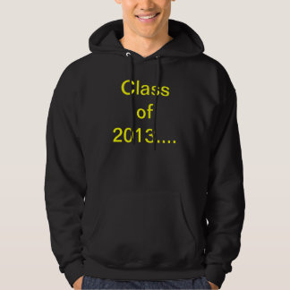 2013 TRÖJA MED LUVA