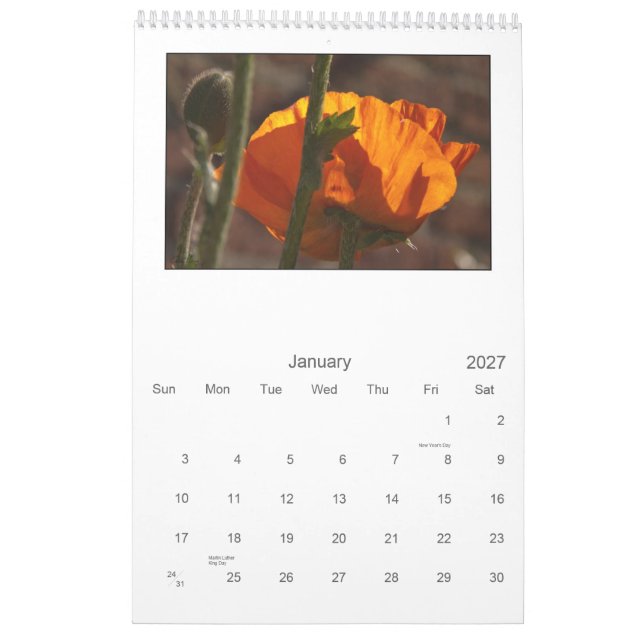 2013 - vallmokalender kalender (Jan 2027)