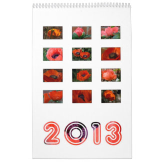2013 - vallmokalender kalender