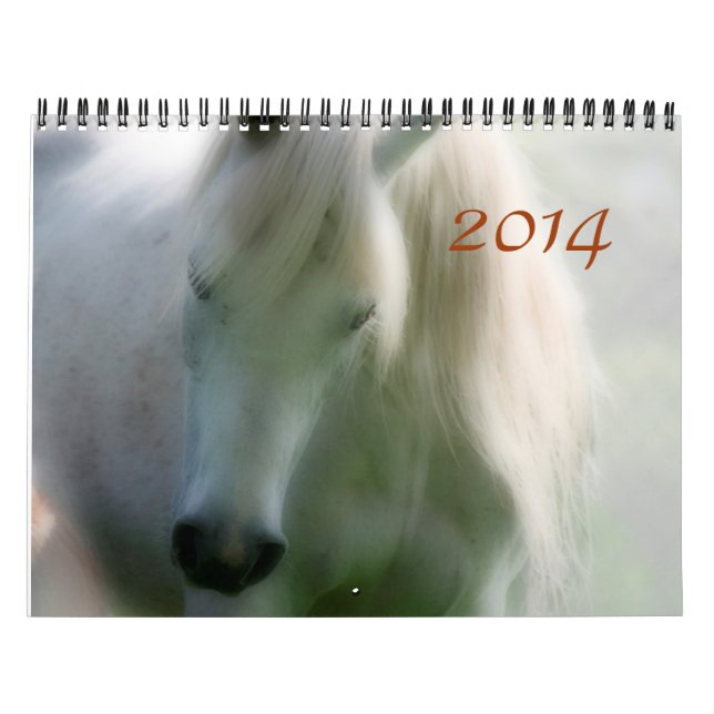 2014 araber - glädje av liv kalender (Omslag)