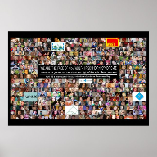 2014 års 4p-/WHS-informationsdag Poster 36" x 24" (Framsidan)