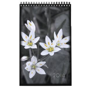 2014 Blommigt Kalender 12 månader