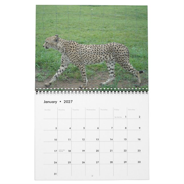 2014 Cheetah Calendar Kalender (Jan 2027)