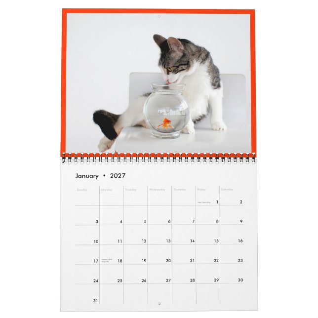 2014 Corky vaggakattkalendern Kalender (Jan 2027)