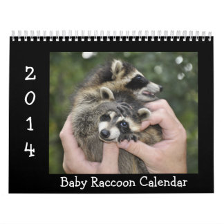 2014 djurlivkalender - babyRaccoons Kalender
