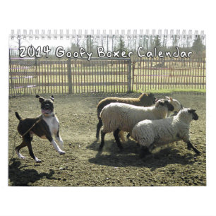 2014 fåniga boxarekalender kalender