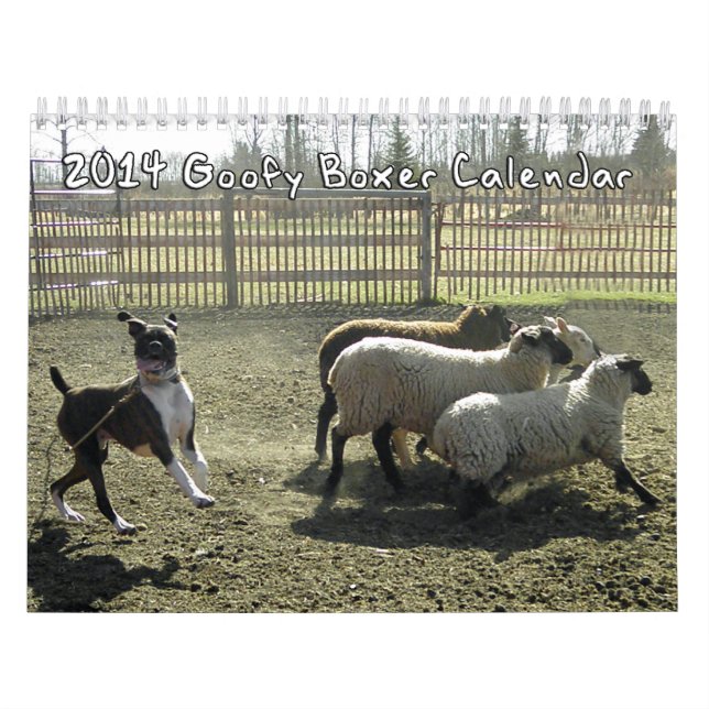 2014 fåniga boxarekalender kalender (Omslag)