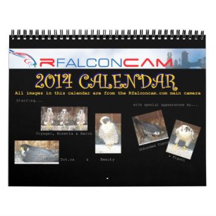 2014 kalender - huvudsakliga kamCollages