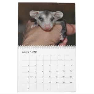 2014 kalender - pungråttababyar
