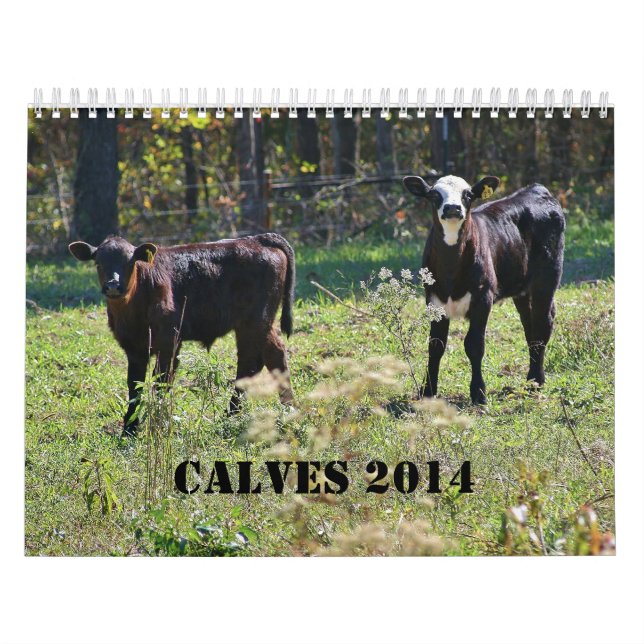 2014 kalvar kalender (Omslag)