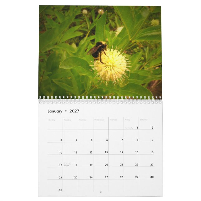 2014 min trädgård kalender (Jan 2027)