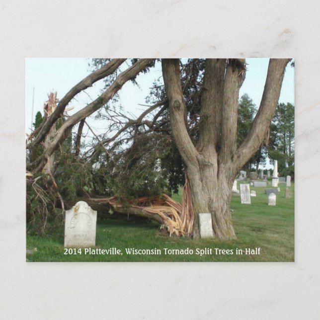 2014 Platteville, Tornado Memorabilia Postcard Vykort (Framsida)