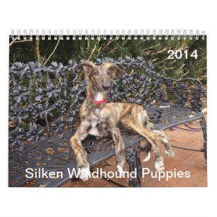 2014 Silken Windhound valpar 2-4 Kalender