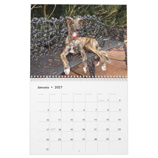 2014 Silken Windhound valpar 2-4 Kalender (Jan 2027)