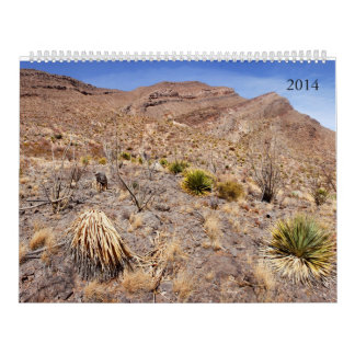 2014 Southwestern nytt - mexico kalender