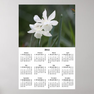2014 Vita Narcisser Väggkalender Poster