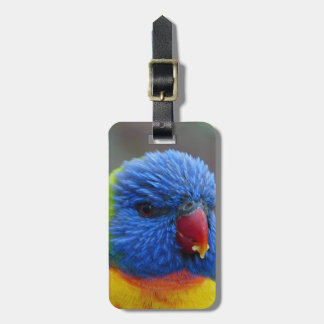 2015_0203 BAGAGEBRICKA