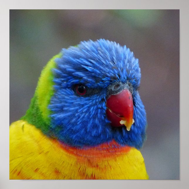 2015_0203 POSTER (Framsidan)