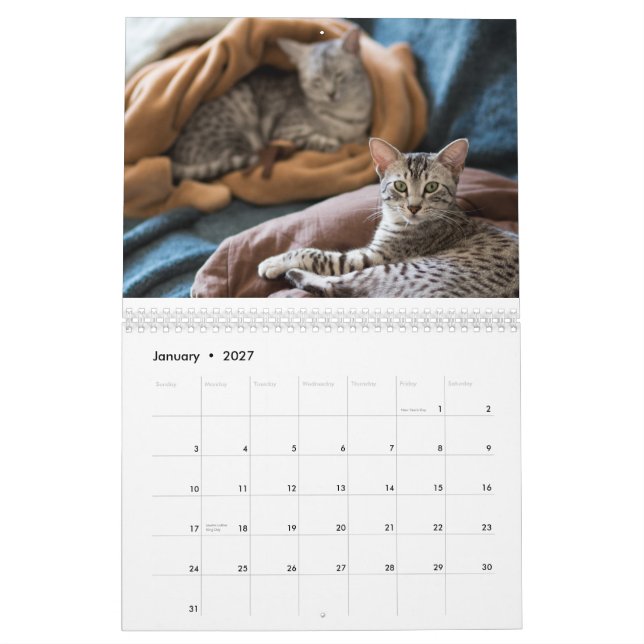 2015 egyptiska Mau kalender: Katter av Pharoahsen Kalender (Jan 2027)