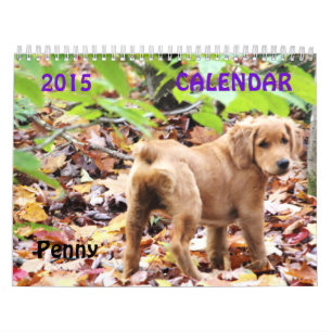 2015 encentmynt kalender