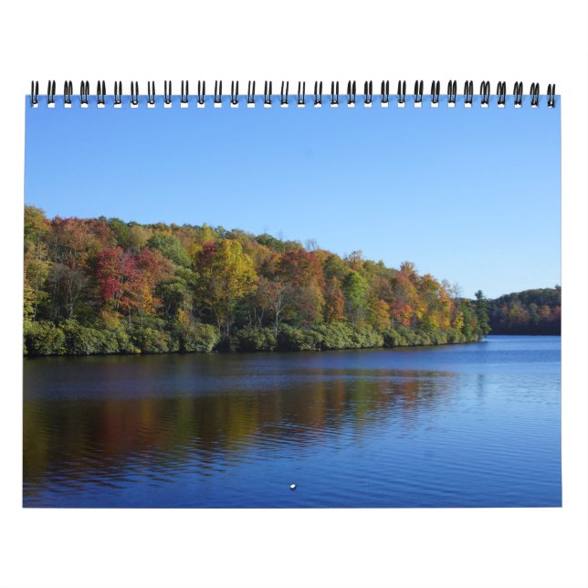 2015 ett handlag av solkalendern kalender (Omslag)