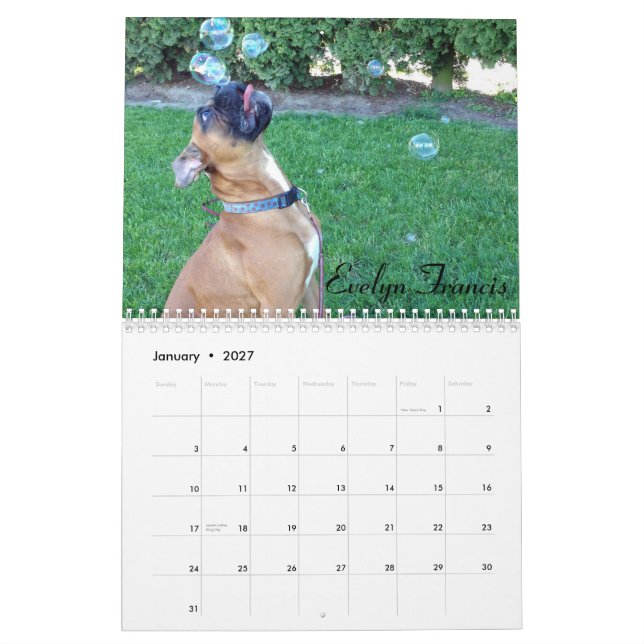 2015 fåniga boxarekalender kalender (Jan 2027)