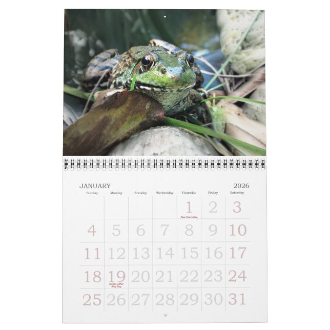 2015 Frog Calendar Kalender (Jan 2026)