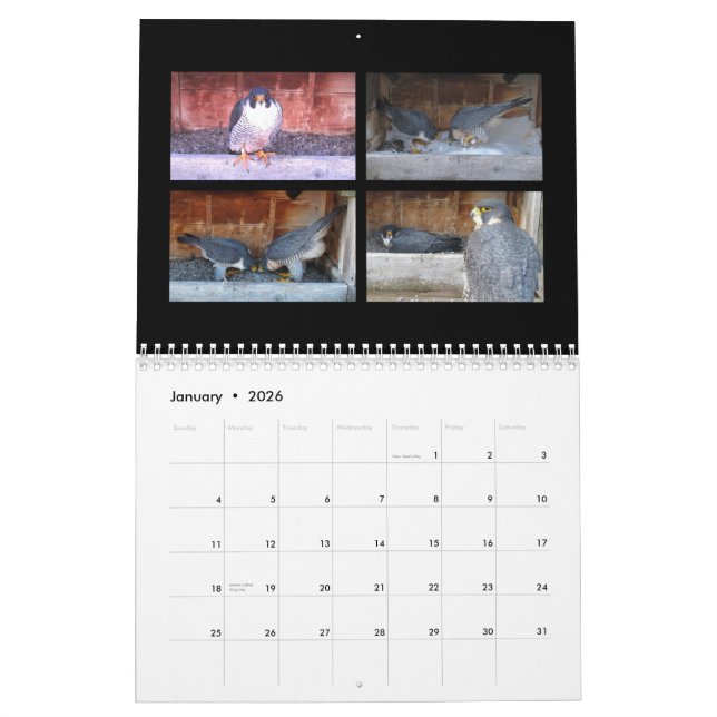 2015 kalender - huvudsakliga kamCollages (Jan 2026)