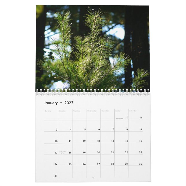 2015 kalender livet omkring oss (Jan 2027)