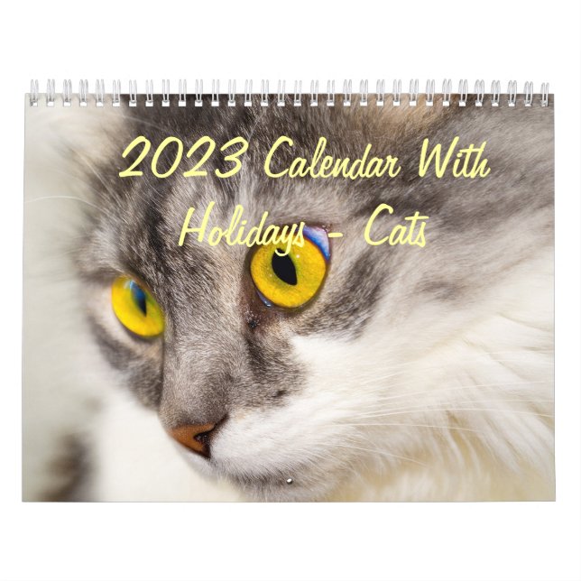 2015 kalender med helgdagar - katter (Omslag)