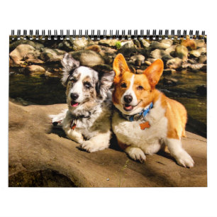 2015 med Charlie & Maggie Kalender