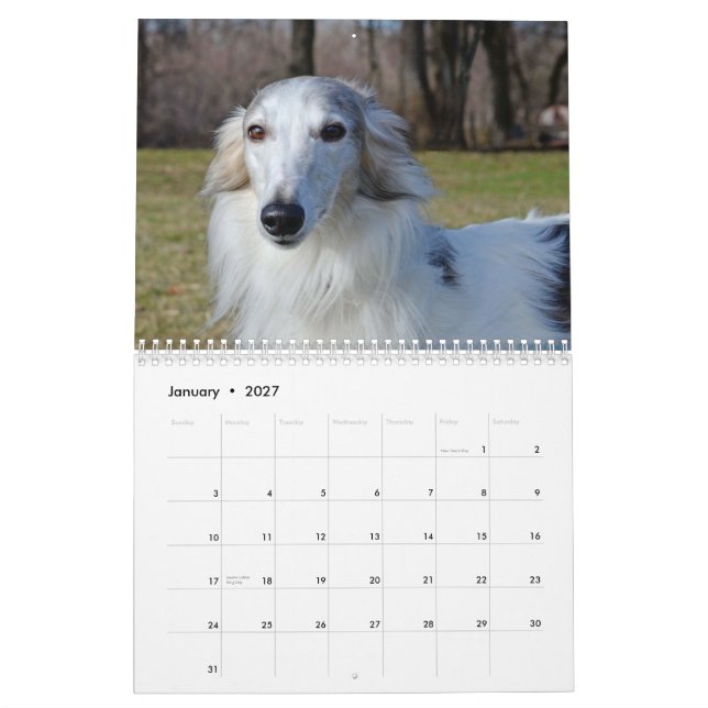 2015 mindas Silken Windhounds Kalender (Jan 2027)