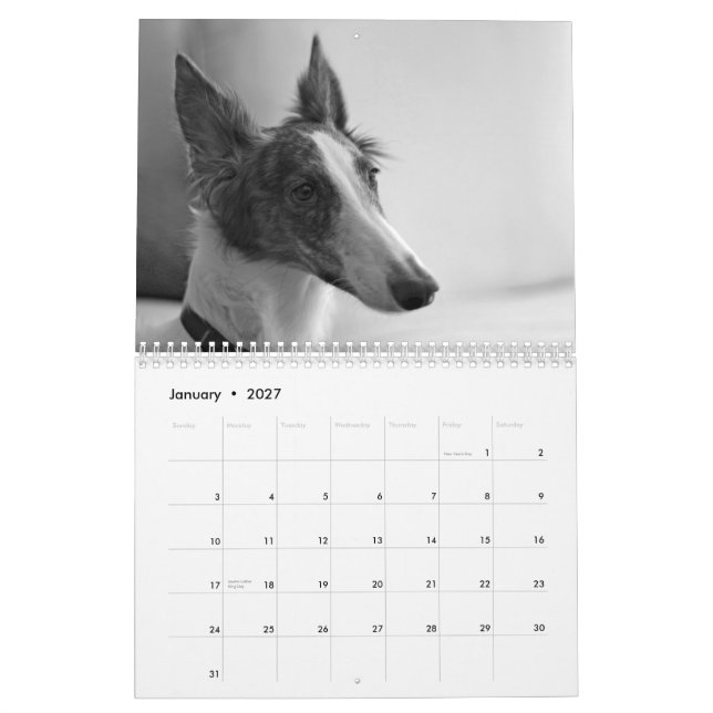 2015 Silken Windhound valpar Kalender (Jan 2027)