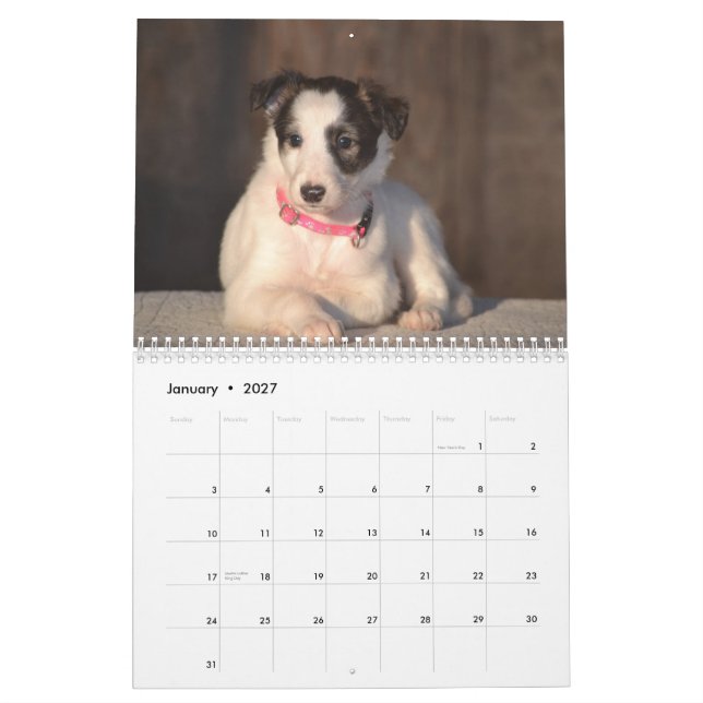 2015 Silken Windhound valpar Kalender (Jan 2027)