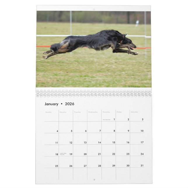 2015 Silken Windhounds i handling Kalender (Jan 2026)