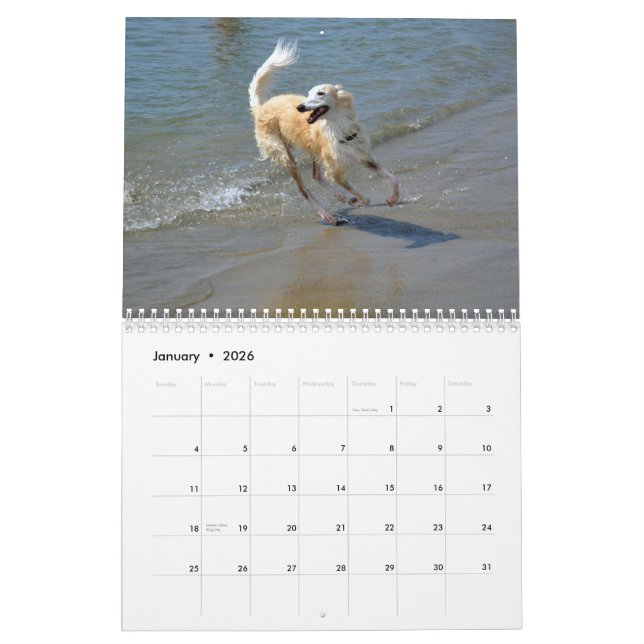 2015 Silken Windhounds i handling Kalender (Jan 2026)