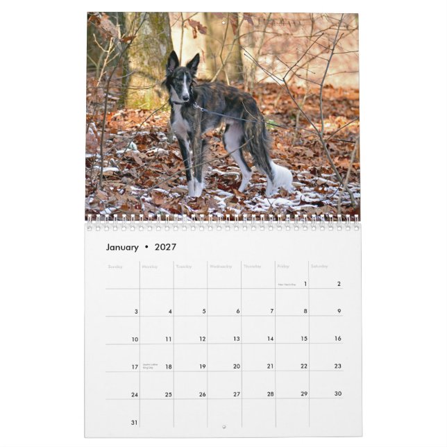 2015 Silken Windhounds Kalender (Jan 2027)