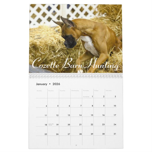 2015 speciella kalender för upplagaboxarekapacitet (Jan 2026)