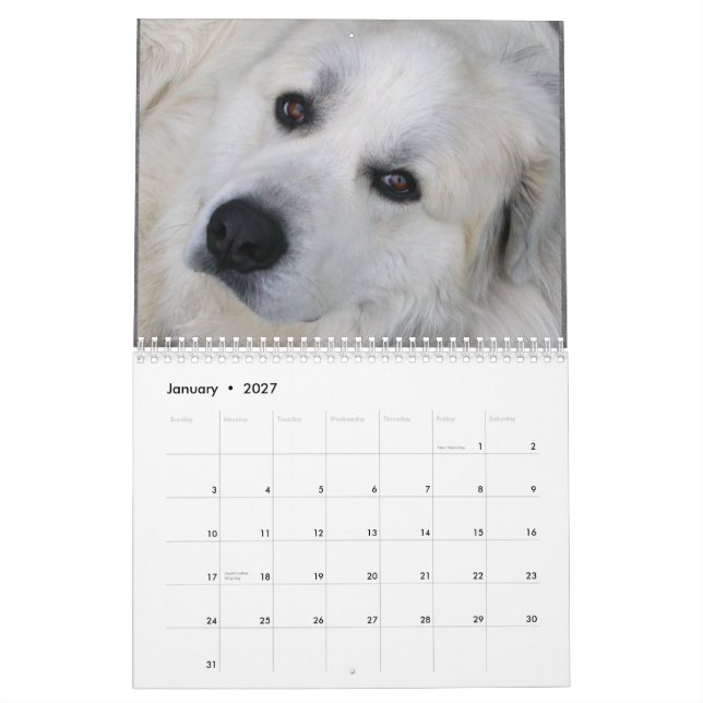 2015 underbara Pyrenees kalender (Jan 2027)