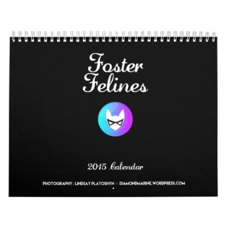 2015 vårda kattdjurkalendern kalender