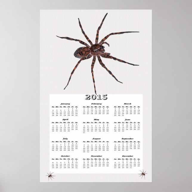2015 Vargspindel kalender Poster (Framsidan)