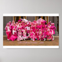 2016 års bomullskanning