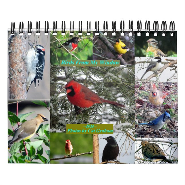 2016 års fågelkalender från mitt fönster kalender (Omslag)