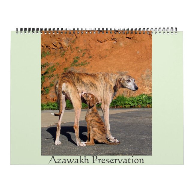 2016 AZAWAKH CALENDAR KALENDER (Omslag)